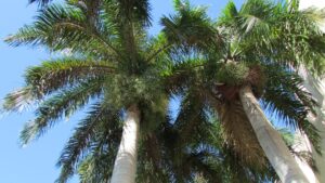 Photo by Gary Borenstein on Unsplash