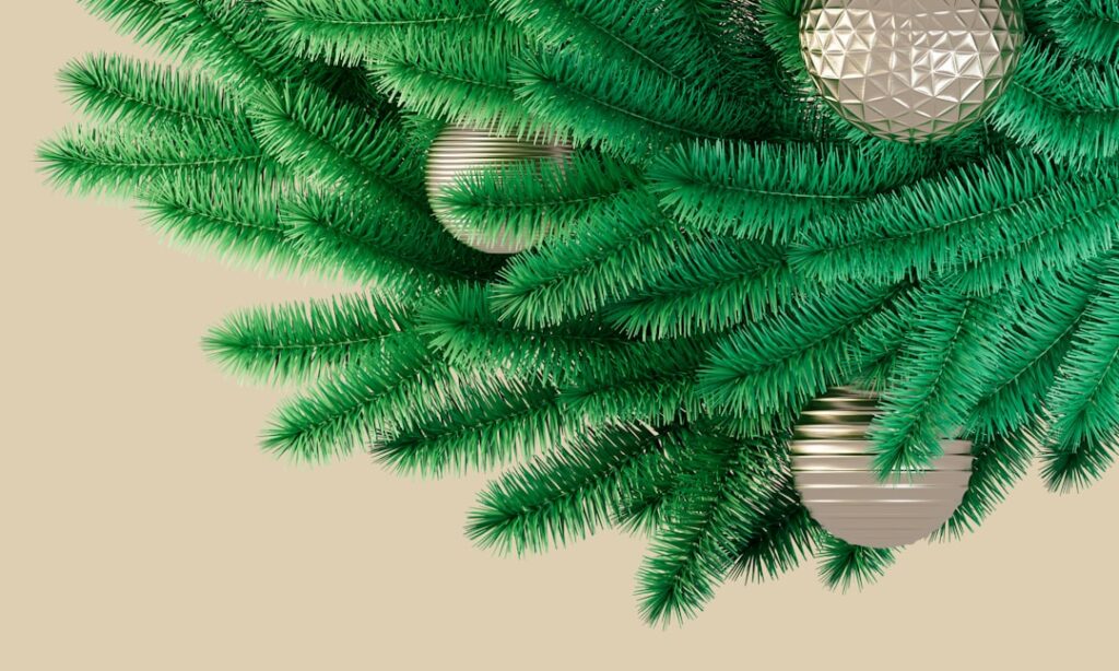 Photo by Elshan Neymatov on Unsplash