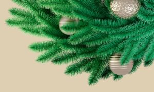 Photo by Elshan Neymatov on Unsplash