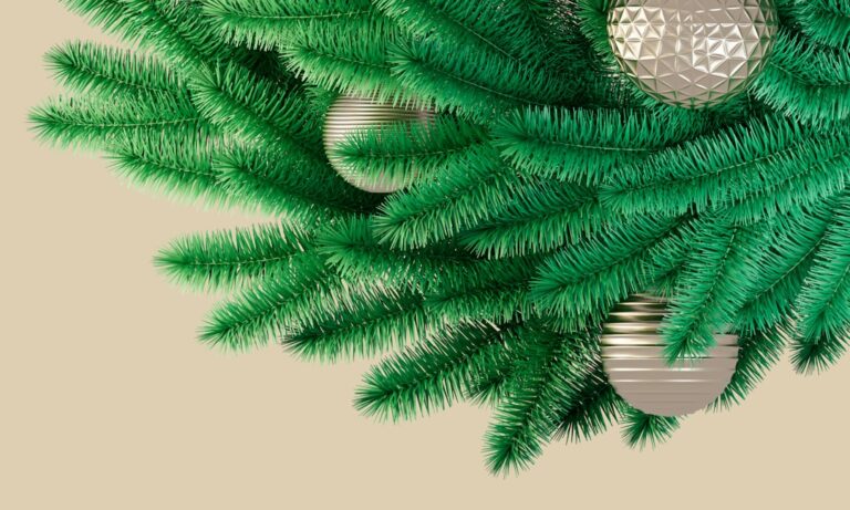 Photo by Elshan Neymatov on Unsplash